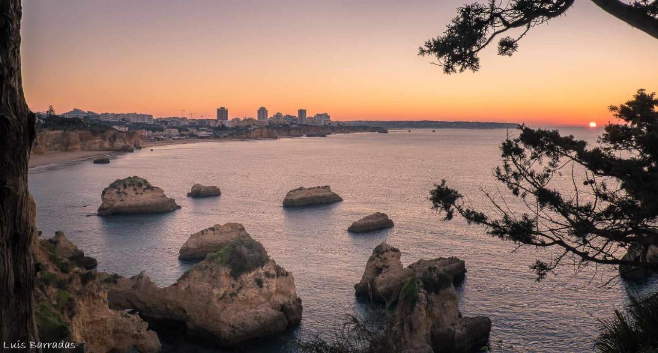 Apartamentos Torre Da Rocha Frente Ao Mar ปอร์ติเมา ภายนอก รูปภาพ